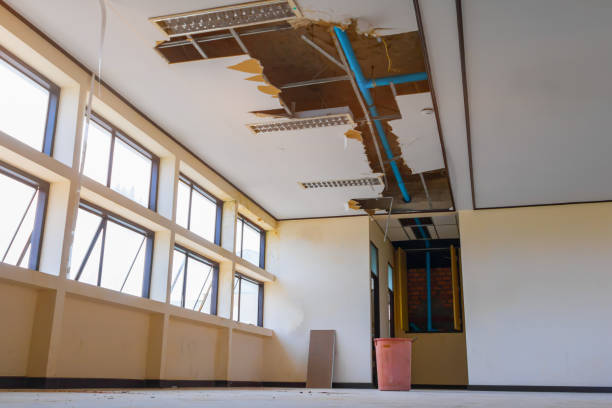 Best Water damage cleanup near me  in Neuse Forest, NC