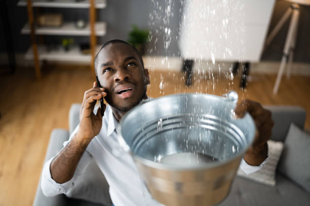 Best Water damage restoration specialists  in Neuse Forest, NC