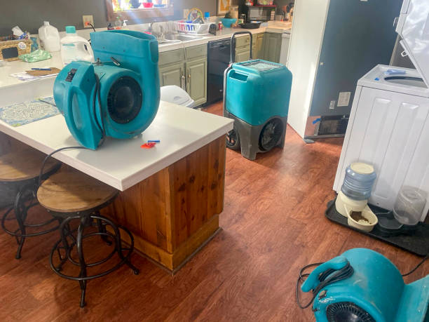 Best Water damage repair service  in Neuse Forest, NC