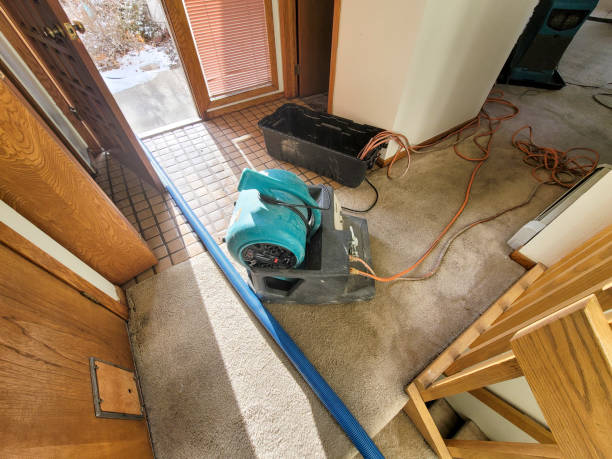 Best Local water damage restoration  in Neuse Forest, NC