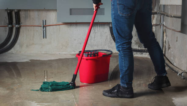 Best Sewage cleanup and water damage restoration  in Neuse Forest, NC