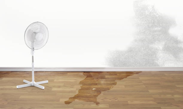 Best Emergency water damage restoration  in Neuse Forest, NC