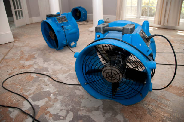  Neuse Forest, NC Water damage restoration Pros
