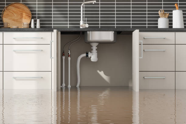 Best Water damage restoration specialists  in Neuse Forest, NC