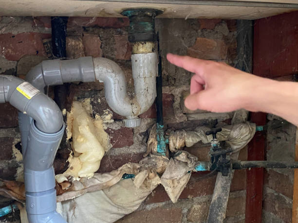 Best Mold removal after water damage  in Neuse Forest, NC