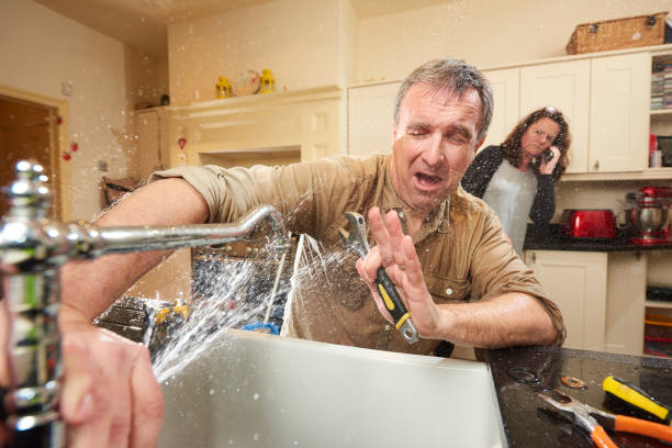  Neuse Forest, NC Water damage restoration Pros